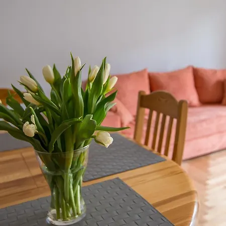 Apartmán Freedom Gdaňsk